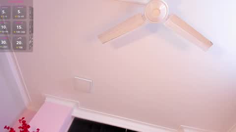 Snapshot of rachel_mendoza chatting on 01/24/25, 11:37 Rachel online show from 01/24/25, 11:37