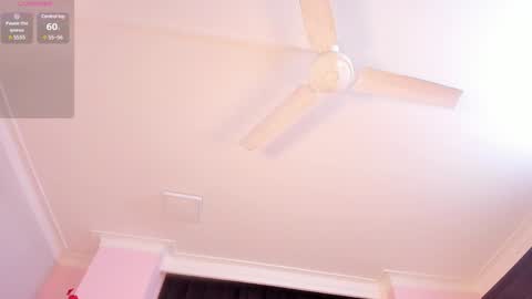 Snapshot of rachel_mendoza chatting on 01/29/25, 11:51 Rachel online show from 01/29/25, 11:51