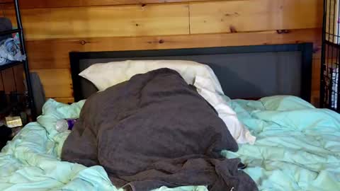 Rachel Price online show from 03/02/25, 02:00