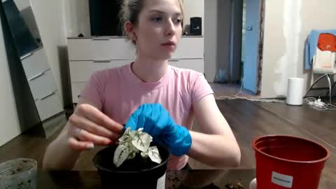 radish666 online show from 05/28/26, 04:59