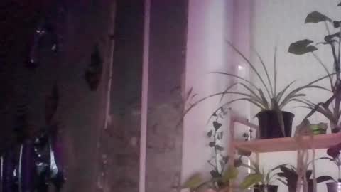 radish666 online show from 08/09/26, 04:45
