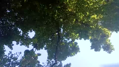 Bigthickdickinvic online show from 02/02/25, 06:26