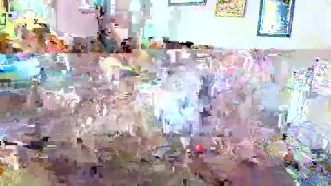 raiderred69 online show from 02/06/25, 09:49