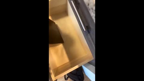 Snapshot of rainbow_randolf chatting on 11/22/25, 07:57 Rainbow Randolf online show from 11/22/25, 07:57