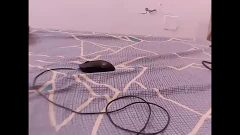 RAMAN online show from 12/01/25, 04:56