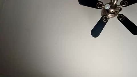 Snapshot of randallcody15 chatting on 01/06/25, 09:11 randallcody15 online show from 01/06/25, 09:11