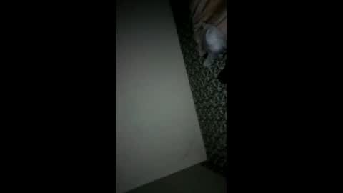 Snapshot of randallcody15 chatting on 10/06/25, 11:24 randallcody15 online show from 10/06/25, 11:24