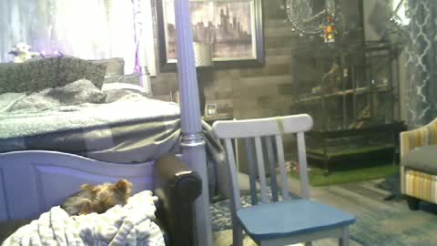 Randy8inbater online show from 06/15/26, 02:03