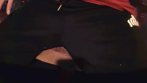 rarvet online show from 04/17/26, 09:01