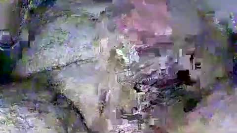 Rasit Adanali online show from 03/08/26, 03:54