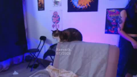 raventh_ online show from 07/12/26, 03:30