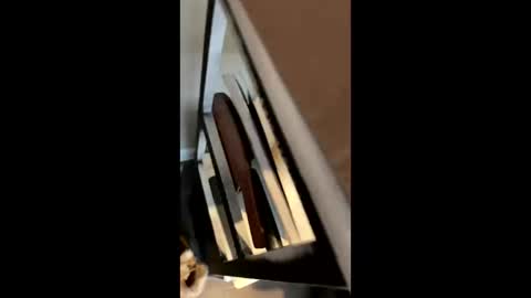 Snapshot of ravenxbeastie chatting on 02/17/25, 08:58 ravenxbeastie online show from 02/17/25, 08:58