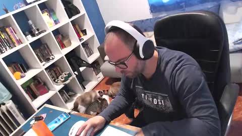 ravingr3d3 online show from 11/11/25, 09:20