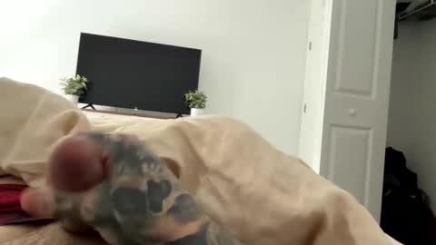 Snapshot of raws33x chatting on 02/03/26, 03:50 raws33x online show from 02/03/26, 03:50