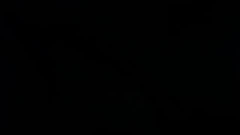Snapshot of raycatt chatting on 01/25/25, 02:47 Ray online show from 01/25/25, 02:47