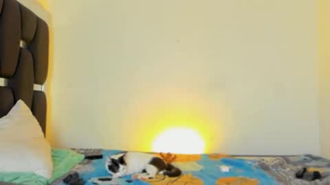 Rayn online show from 11/05/25, 04:40