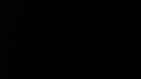 Ray online show from 12/29/24, 03:57