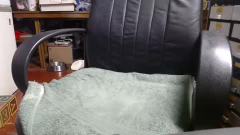 Ray online show from 12/31/24, 12:11