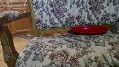 Ray online show from 02/01/26, 05:50