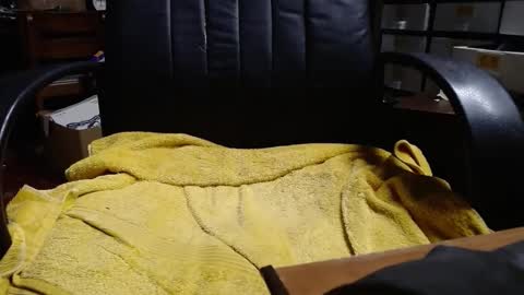 Ray online show from 04/03/26, 01:36