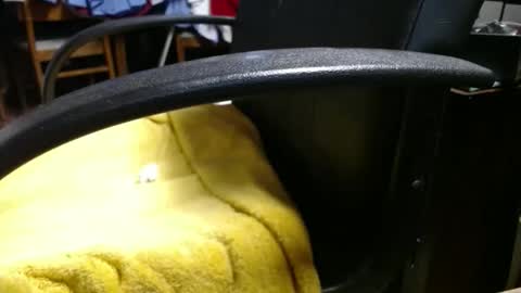 Ray online show from 04/17/26, 11:35