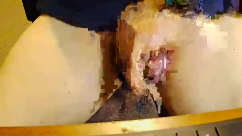 Snapshot of rb69er905364 chatting on 11/17/25, 10:04 rb69er905364 online show from 11/17/25, 10:04