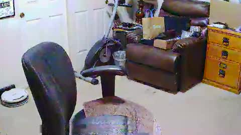 rb69er905364 online show from 03/28/26, 06:40