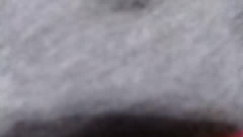 ready2fuk647232 online show from 11/02/25, 09:44