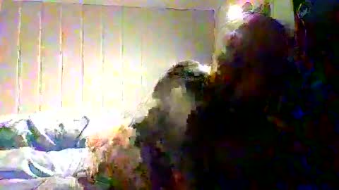 Snapshot of real_viking1 chatting on 11/22/25, 08:13 real_viking1 online show from 11/22/25, 08:13