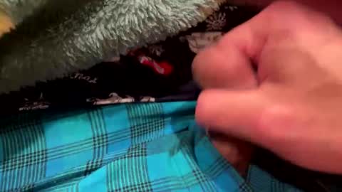 realbigload77 online show from 12/23/25, 03:26