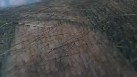 realrubpirate online show from 10/19/25, 09:21