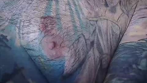 realrubpirate online show from 02/22/26, 08:57