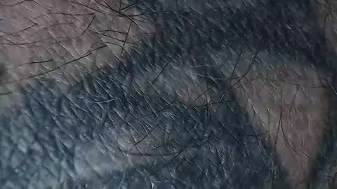 realrubpirate online show from 03/18/26, 08:50