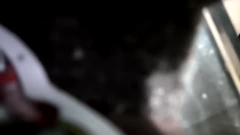 reba21 online show from 02/01/26, 11:58