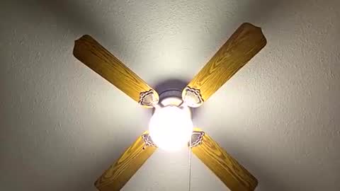 red24devils online show from 11/21/25, 01:04