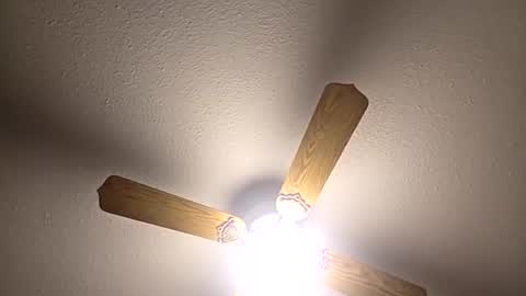 red24devils online show from 12/03/25, 05:04