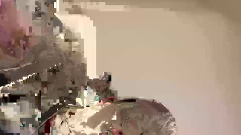 Snapshot of reddrockett69 chatting on 04/30/26, 08:57 Ali j online show from 04/30/26, 08:57