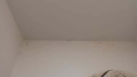 Snapshot of rednicedick chatting on 01/22/25, 06:42 rednicedick online show from 01/22/25, 06:42