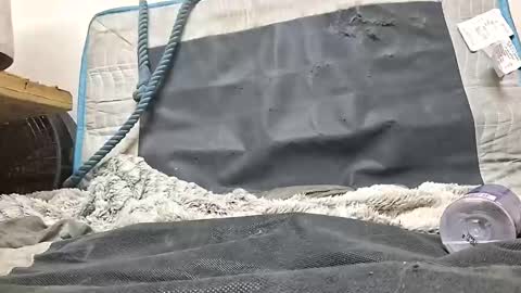 Snapshot of rednicedick chatting on 10/16/25, 01:17 rednicedick online show from 10/16/25, 01:17