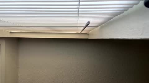 redsoilclay online show from 09/27/25, 10:48