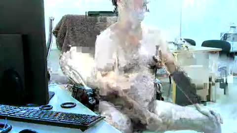 region4 online show from 04/19/26, 06:10