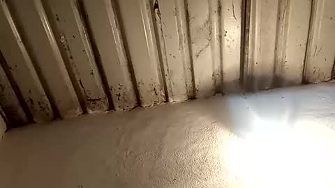 reinft online show from 02/11/26, 02:16