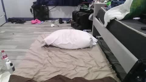 Snapshot of remshotdt chatting on 02/24/25, 04:26 remshotdt online show from 02/24/25, 04:26