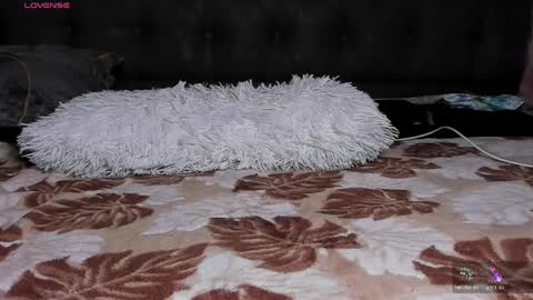 reyna77 online show from 05/20/26, 07:42