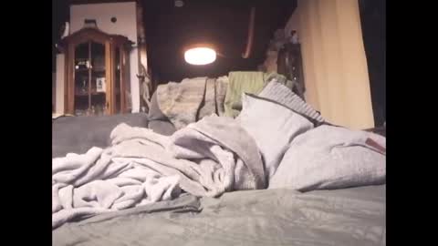 Snapshot of reynaturist chatting on 01/05/26, 09:51 Rey online show from 01/05/26, 09:51