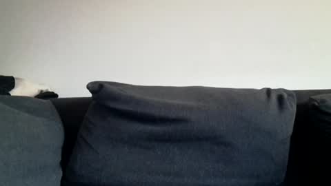 Shaved cock ready online show from 03/31/26, 06:03