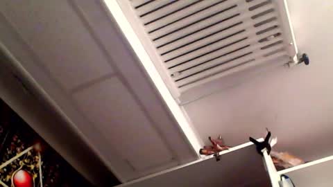 RICK DAYDREAM online show from 03/16/26, 08:35