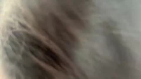 Snapshot of rickistegemann chatting on 02/27/26, 02:22 Ammy here its my first stream here online show from 02/27/26, 02:22