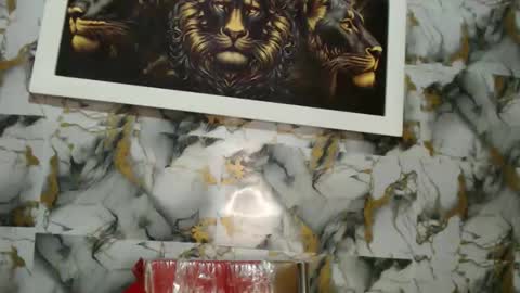 Snapshot of rigel_paxs chatting on 11/18/25, 06:34 rigel online show from 11/18/25, 06:34