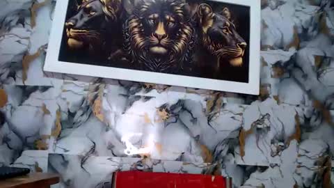 Snapshot of rigel_paxs chatting on 03/12/26, 05:46 rigel online show from 03/12/26, 05:46